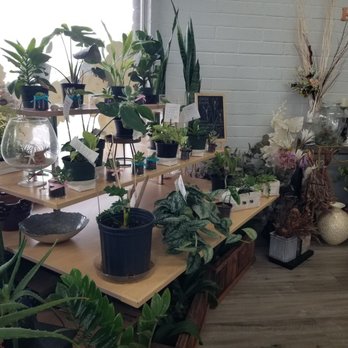 Hanapua Flowers - Florists Near Me - Honolulu, Hawaii
