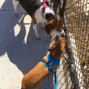 Dyker Beach Park Dog Run - Dog Parks Near Me - New York, New York Dyker Beach Park Dog Run - Dog Parks Near Me - New York, New York