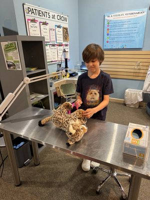 Clinic for the Rehabilitation of Wildlife (CROW) - Visitor Education Center by null