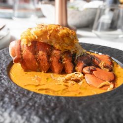 Carnival - Lobster Curry Indian Fusion