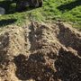 Photo of Reliable Stump Grinding