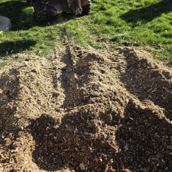 Reliable Stump Grinding