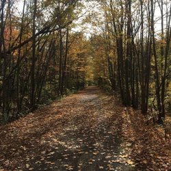 Lehigh Valley Trail - North/South Trail during Autumn - imagine running through this with dozens of leaves falling all around you