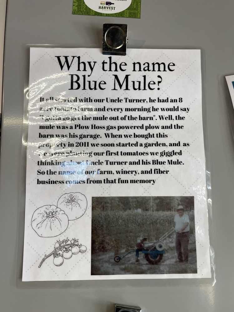 Blue Mule Winery - Photo 12