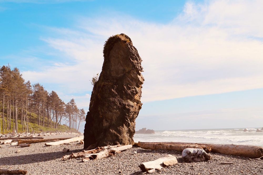Port Angeles to Olympic National Park Gateway to Natures Splendor