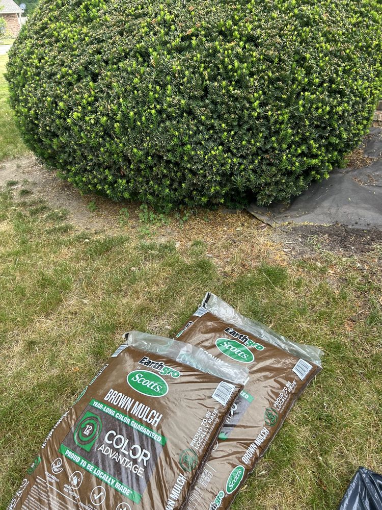 Slide of George’s Home Improvement