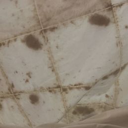 Bedding Bedding