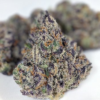 Mary Daze Delivery - SUPER FRITTERS - Cannabis Dispensaries Near Me - Huntington Beach, California Mary Daze Delivery - SUPER FRITTERS - Cannabis Dispensaries Near Me - Huntington Beach, California