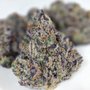 Photo of Mary Daze Delivery