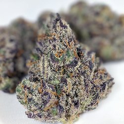 Mary Daze Delivery - SUPER FRITTERS