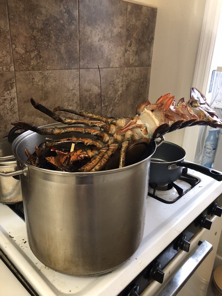 CASINO LOBSTER CO Updated September 2024 120 W Merion Ave