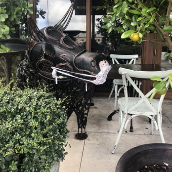 FINKA Table & Tap - Asian Fusion Near Me - Miami, Florida