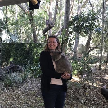 Lone Pine Koala Sanctuary - Zoos Near Me - Fig Tree Pocket, QLD