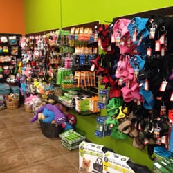 Bentley's Pet Stuff - Harnesses / toys