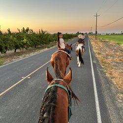 Cowboy Trail Rides