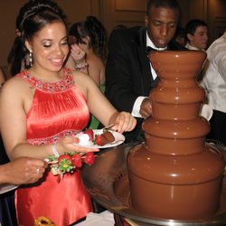 The Chocolate Fountain From In Blossom - The Joys of Chocolate... A sweet addition to any Golf Tournament, Sweet 16, Graduation Party, Wedding or Bridal Shower!