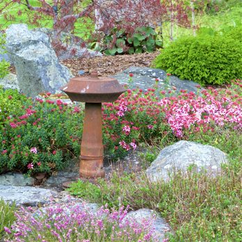 Distant Hill Gardens - Botanical Gardens Near Me - Walpole, New Hampshire