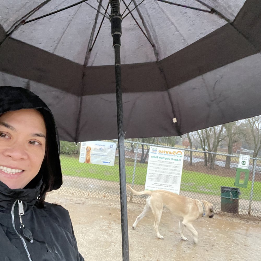 C Bar C Dog Park is open RAIN or shine!! C Bar C Dog Park is open RAIN or shine!!