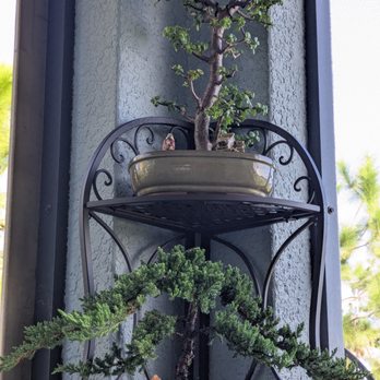 Elemental Nursery - Nurseries & Gardening Near Me - Kissimmee, Florida Elemental Nursery - Nurseries & Gardening Near Me - Kissimmee, Florida