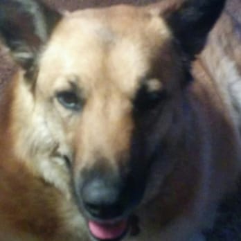 Properties Animal Clinic - Veterinarians Near Me - Calgary, Alberta