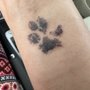 Photo of Kapow Ink