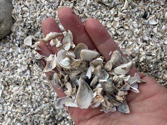 Whitefish Dunes State Park by null