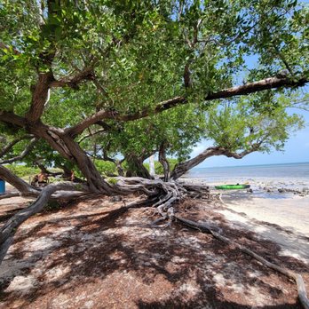 Veteran's Memorial Park - Parks Near Me - Big Pine Key, Florida