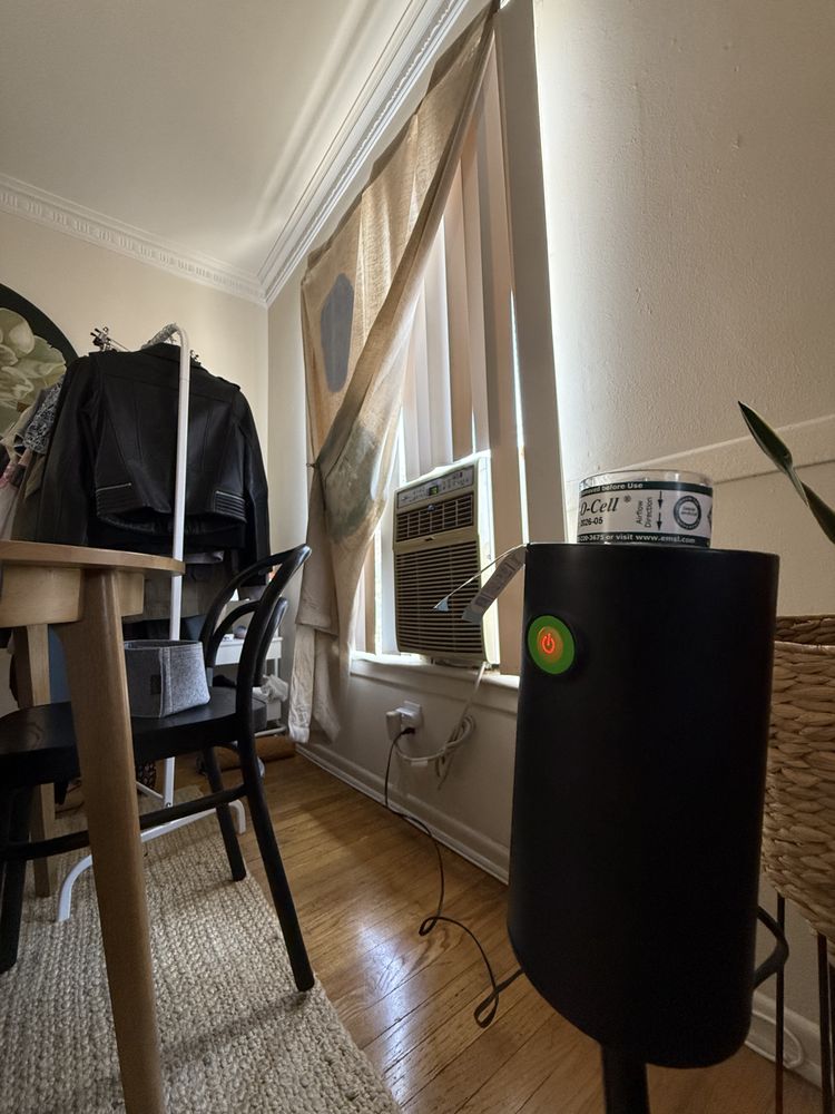 Top Tier Testing - mold inspector in Miami, FL