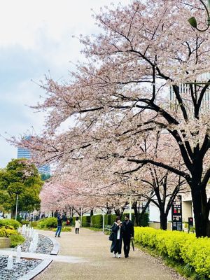 Tokyo Midtown by null