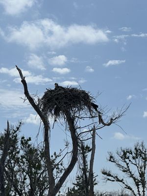 Lovers Key State Park by null