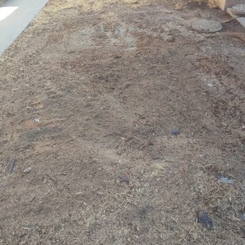 Happy Growing Landscaping - 1-after - Tree Services Near Me - Clovis, California Happy Growing Landscaping - 1-after - Tree Services Near Me - Clovis, California