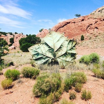 OrigamiintheGarden - Art Tours Near Me - Los Cerrillos, New Mexico OrigamiintheGarden - Art Tours Near Me - Los Cerrillos, New Mexico