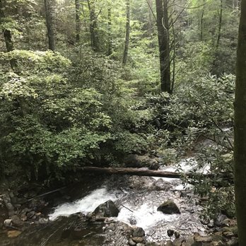 Anna Ruby Falls - Beautiful trail! - Hiking Near Me - White, Georgia Anna Ruby Falls - Beautiful trail! - Hiking Near Me - White, Georgia