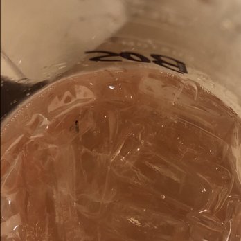 Nordstrom Ebar Artisan Coffee - bug in my cup ......... - Coffee & Tea Near Me - Seattle, Washington Nordstrom Ebar Artisan Coffee - bug in my cup ......... - Coffee & Tea Near Me - Seattle, Washington