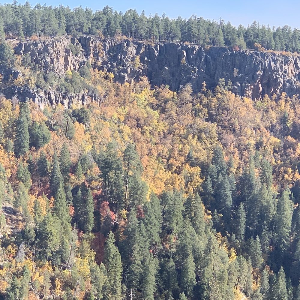 Coconino National Forest - Public Services & Government Near Me - Flagstaff, Arizona Coconino National Forest - Public Services & Government Near Me - Flagstaff, Arizona