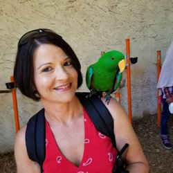 Who Dat Pet Spa - Parrot Island