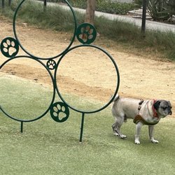 Jacaranda Park