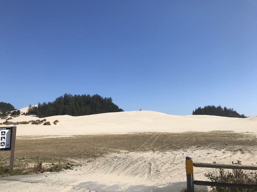 OREGON DUNES NATIONAL RECREATION AREA VISITOR CENTER 41 Photos & 13 Reviews 855 Hwy Ave