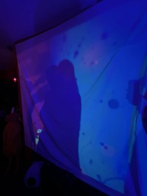 The Franklin Castle (Hannes Tiedemann House) by null