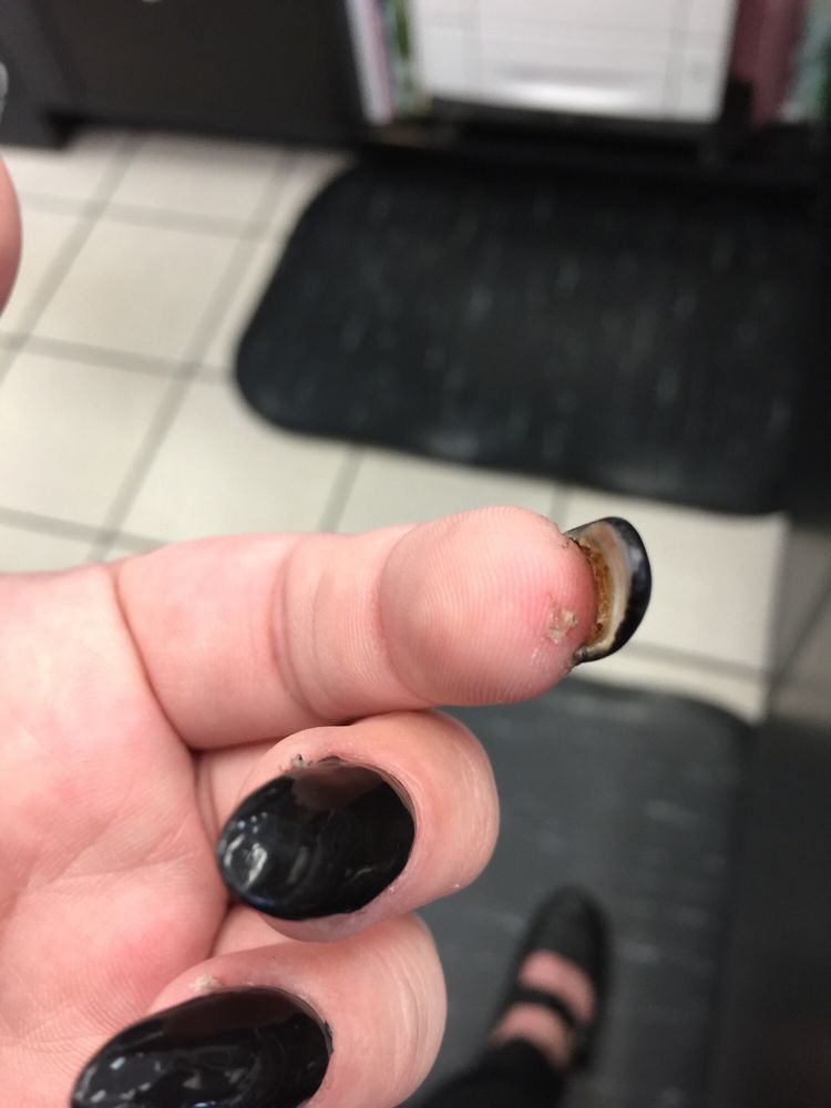 No 1 Nail Logo