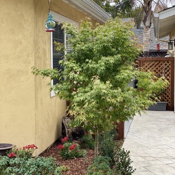 MAC Landscape - Screening, concrete to backyard - Landscaping Near Me MAC Landscape - Screening, concrete to backyard - Landscaping Near Me