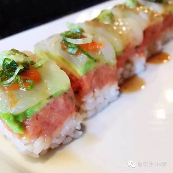 Sake House - Special roll - Japanese Near Me - Tampa, Florida Sake House - Special roll - Japanese Near Me - Tampa, Florida