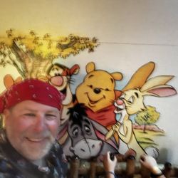 The Many Adventures of Winnie the Pooh