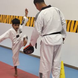 Master Kim's Tiger Tae Kwon Do
