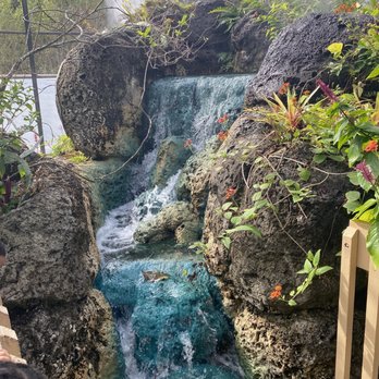 Butterfly World - Waterfall - Botanical Gardens Near Me - Coconut Creek, Florida