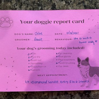 Stitch Mobile Pet Grooming - A report card for your furry friend detailing how they behaved and what services they did. - Pet Groomers Near Me