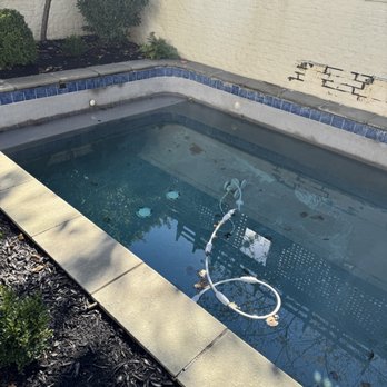 Precision Pools & Landscapes - This is AFTER I had the hose in the pool for an hour" - Pool & Hot Tub Service Near Me Precision Pools & Landscapes - This is AFTER I had the hose in the pool for an hour" - Pool & Hot Tub Service Near Me