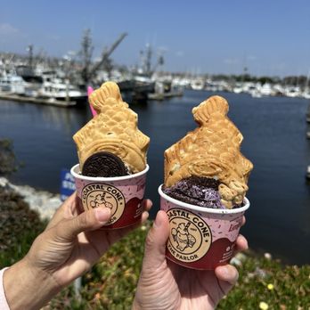 Coastal Cone - Our yakis! 5-25-25 - Ice Cream & Frozen Yogurt Near Me - Ventura, California
