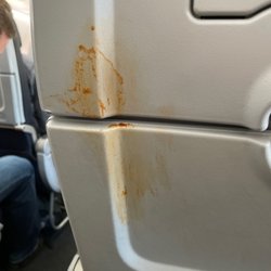 American Airlines - Disgusting food or whatever this is. Asked a flight attendant for a Clorox wipe and she was very rude.