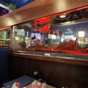 Umiya - Sushi Bars Near Me - Humble, Texas